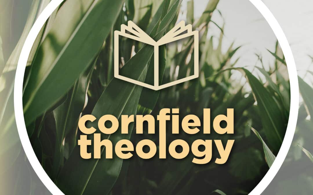 Questions about Genesis 1-2