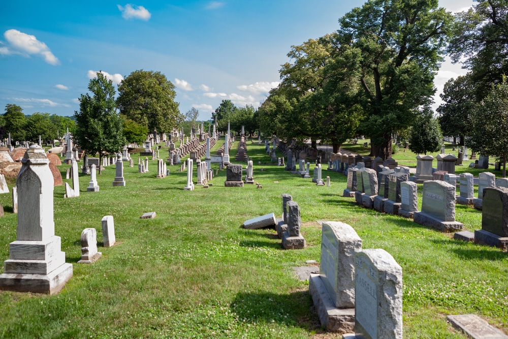 Walking Among the Dead
